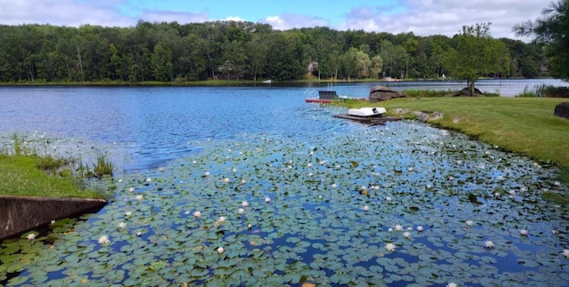 202 Deerfield Rd, Lake Ariel, PA 18436