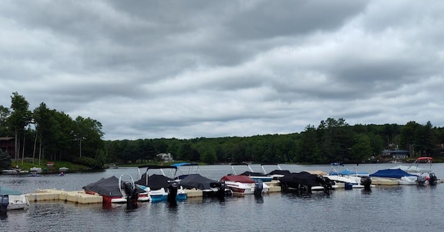 202 Deerfield Rd, Lake Ariel, PA 18436