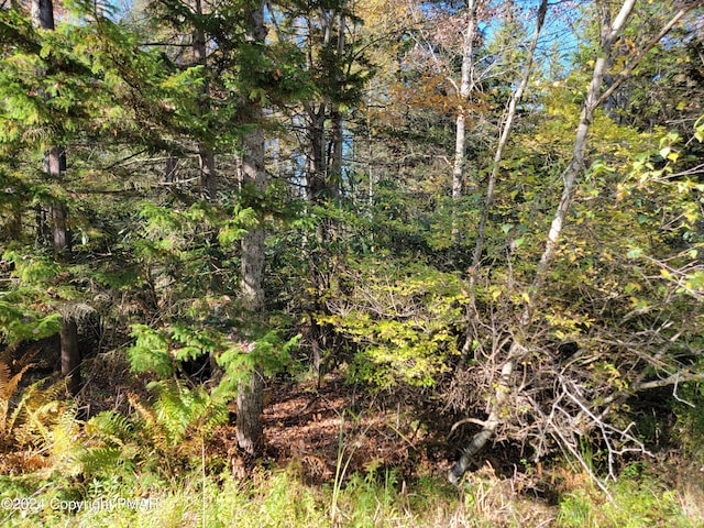 LOT18 Louis Ln, Gouldsboro PA, 18424 land for sale