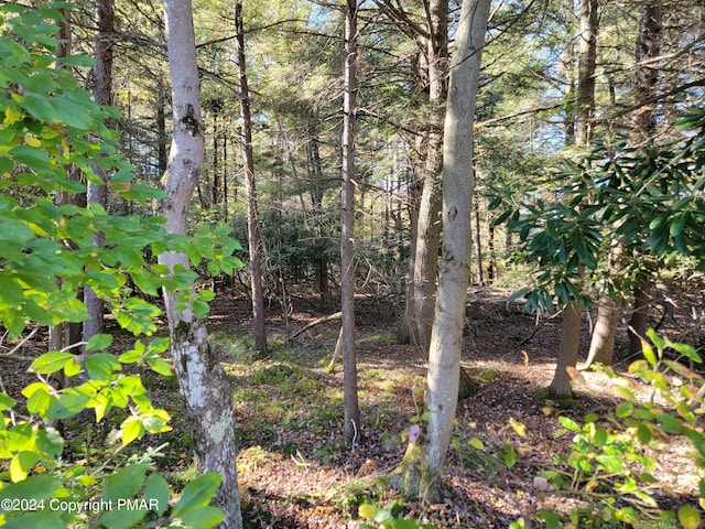 Listing photo 3 for LOT18 Louis Ln, Gouldsboro PA 18424