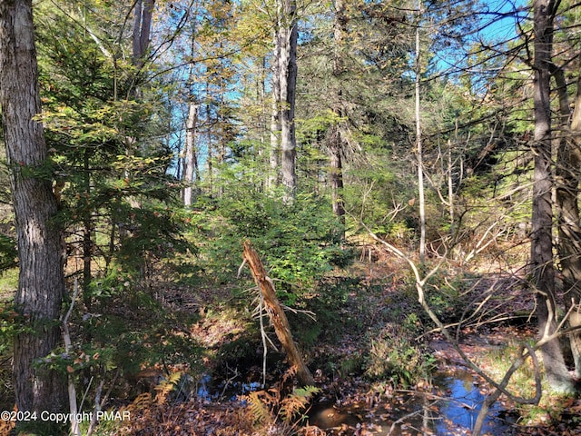 Listing photo 2 for LOT18 Louis Ln, Gouldsboro PA 18424