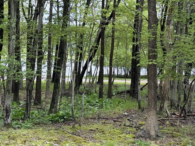 610 N Shore Dr, Albrightsville, PA 18210