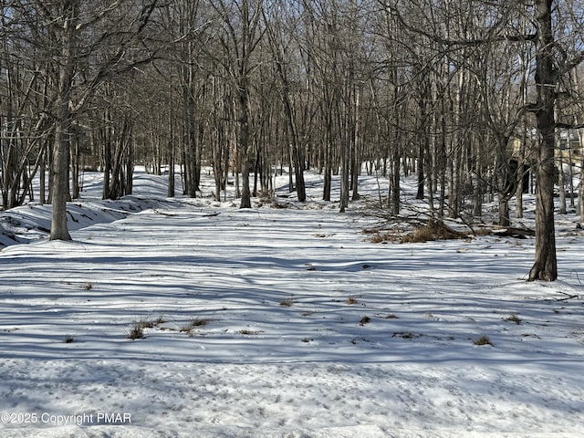 610 N Shore Dr, Albrightsville, PA 18210
