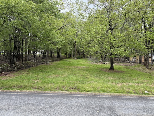 610 N Shore Dr, Albrightsville, PA 18210