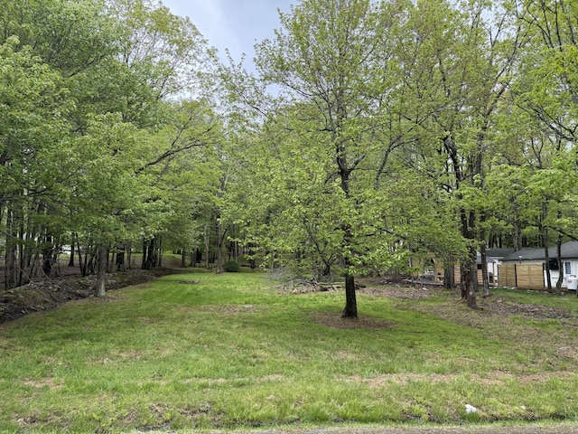 610 N Shore Dr, Albrightsville, PA 18210