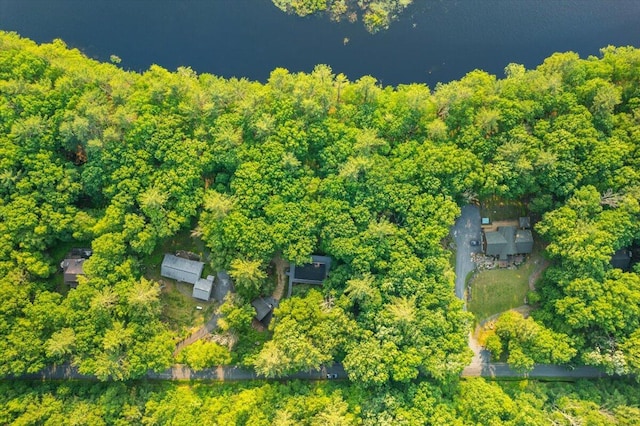 173 Water View Dr, Hawley, PA 18428 - aerial view of property and surrounding area