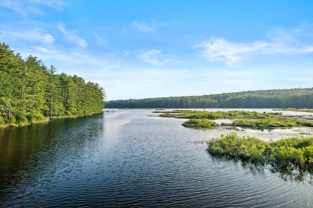 173 Water View Dr, Hawley, PA 18428 - water view featuring a heavily wooded area