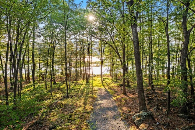 173 Water View Dr, Hawley, PA 18428 - view of street