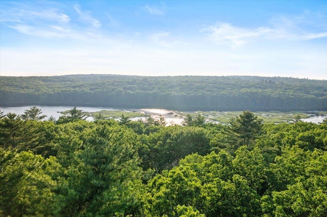 173 Water View Dr, Hawley, PA 18428 - water view with a heavily wooded area