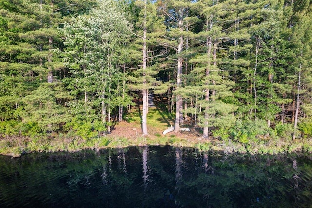 173 Water View Dr, Hawley, PA 18428 - view of undeveloped land