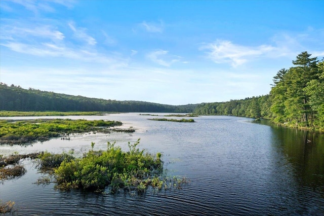 173 Water View Dr, Hawley, PA 18428 - water view featuring a heavily wooded area