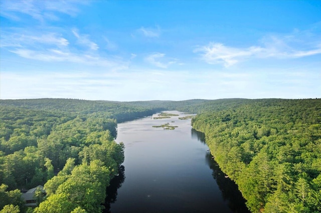 173 Water View Dr, Hawley, PA 18428 - water view with a forest