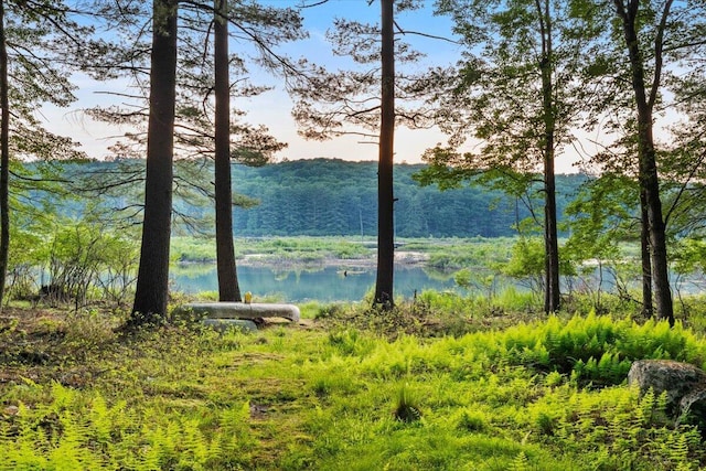 173 Water View Dr, Hawley, PA 18428 - water view