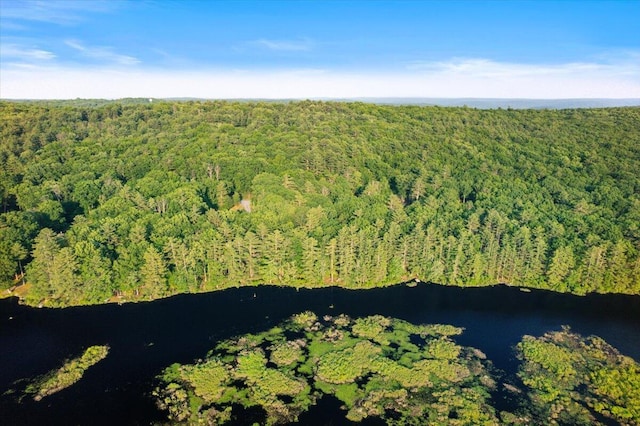 173 Water View Dr, Hawley, PA 18428 - view of property location featuring a forest and a large body of water