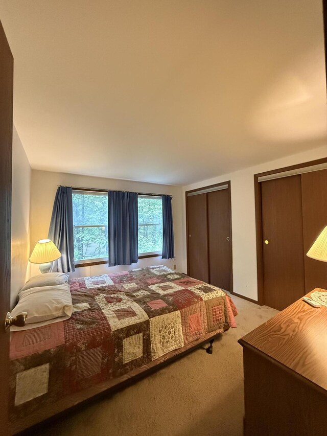 281 Fern Ridge Rd, Blakeslee, PA 18610 - bedroom featuring carpet floors and two closets