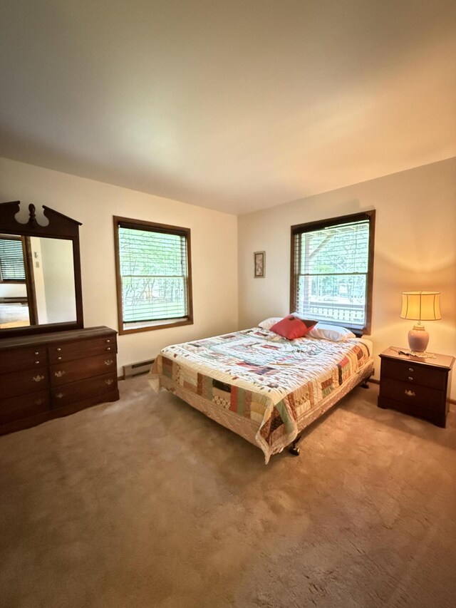281 Fern Ridge Rd, Blakeslee, PA 18610 - view of carpeted bedroom