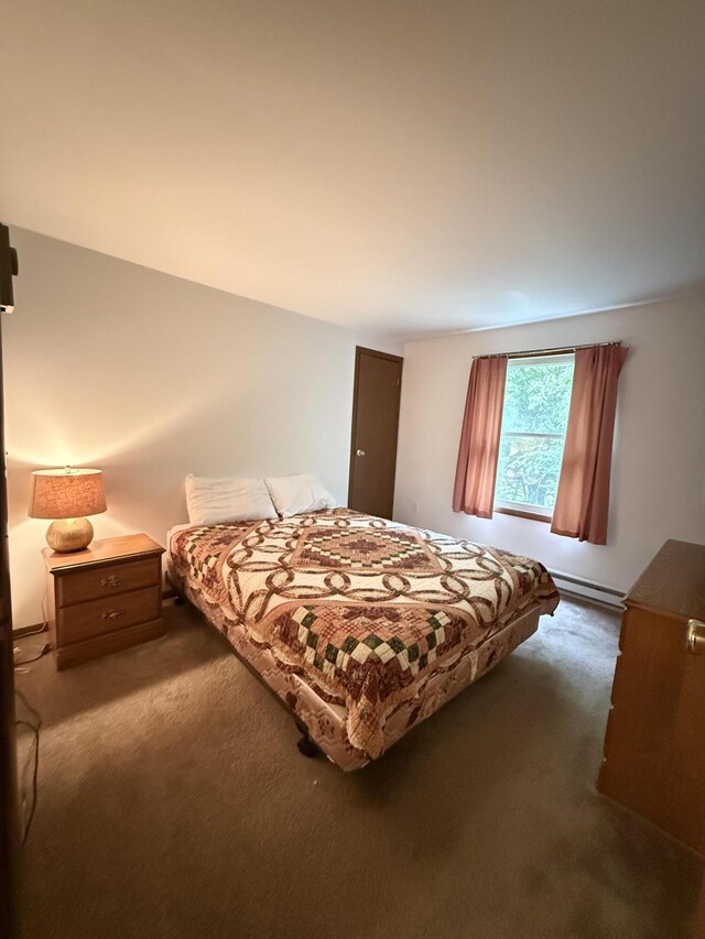 281 Fern Ridge Rd, Blakeslee, PA 18610 - bedroom featuring carpet and a baseboard radiator