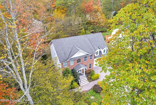 drone / aerial view