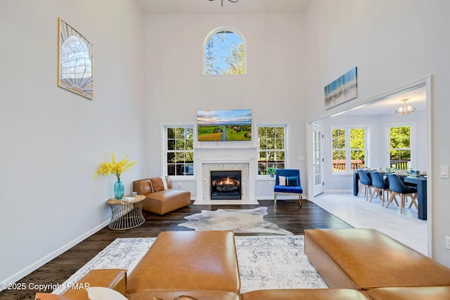 living room featuring a lit fireplace, a high ceiling, and wood finished floors