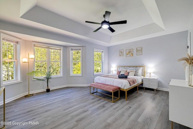 bedroom with a ceiling fan, baseboards, a tray ceiling, and wood finished floors
