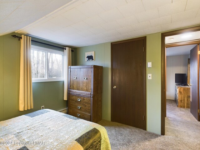 bedroom with carpet flooring