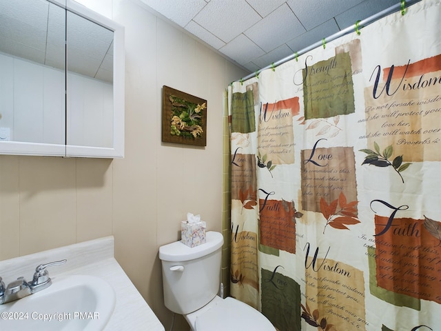 bathroom with vanity, curtained shower, and toilet