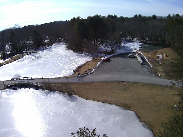 bird's eye view with a wooded view