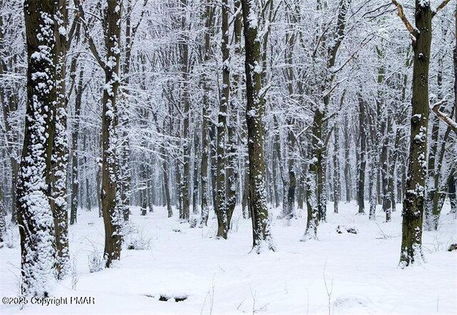 105646L Spring Ct, Bushkill, PA 18324 - snowy view with a forest view