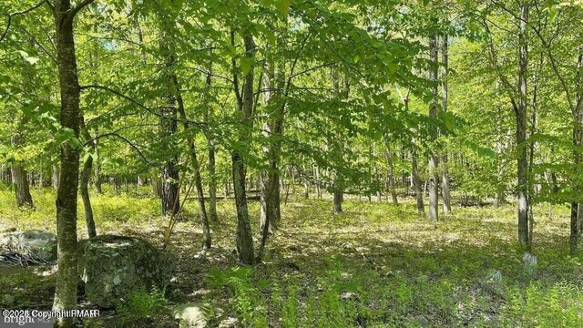 105646L Spring Ct, Bushkill, PA 18324 - view of landscape with a forest view
