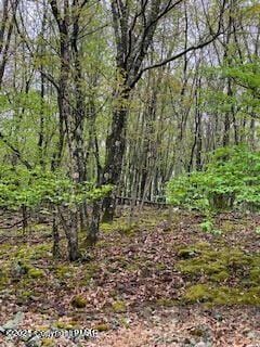 105646L Spring Ct, Bushkill, PA 18324 - view of landscape featuring a forest view
