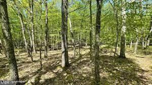 105646L Spring Ct, Bushkill, PA 18324 - view of landscape with a forest view