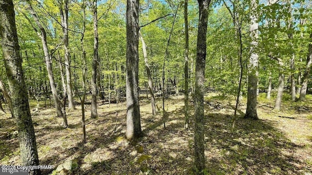 105646L Spring Ct, Bushkill, PA 18324 - view of nature featuring a view of trees