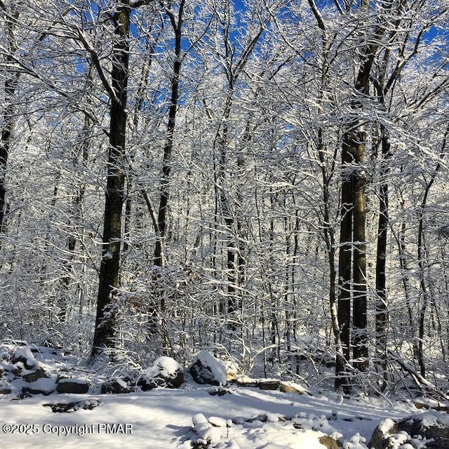105646L Spring Ct, Bushkill, PA 18324 - view of snowy landscape