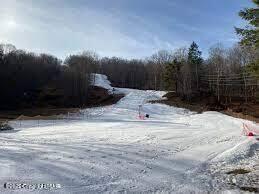 105646L Spring Ct, Bushkill, PA 18324 - view of road featuring a view of trees