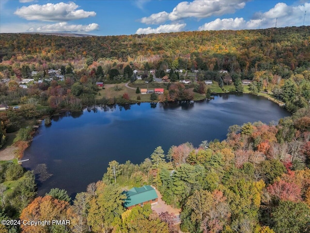 drone / aerial view featuring a water view and a wooded view