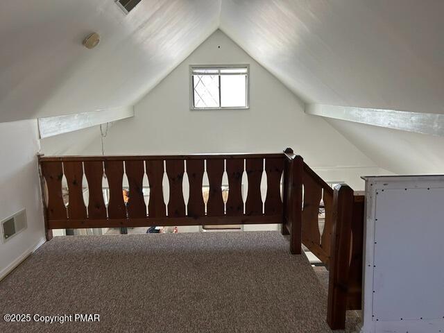 additional living space with lofted ceiling and carpet