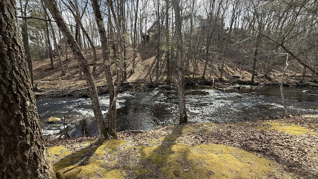 view of nature