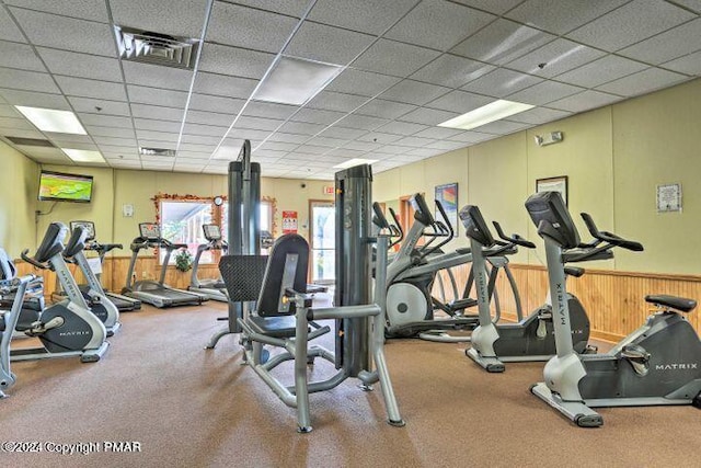 gym with a drop ceiling, wainscoting, and carpet