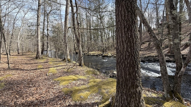 view of local wilderness