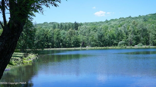 water view with a forest