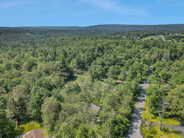 102 King Arthur Rd, Pocono Lake, PA 18347 - photo 62