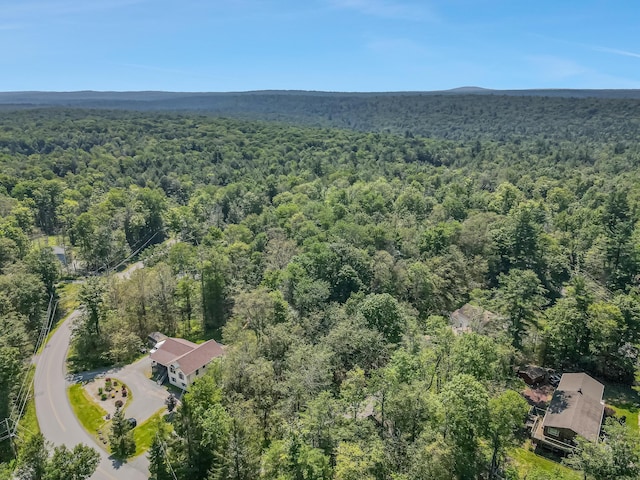 102 King Arthur Rd, Pocono Lake, PA 18347 - photo 63