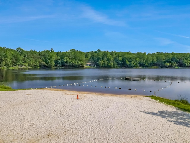 102 King Arthur Rd, Pocono Lake, PA 18347 - photo 74