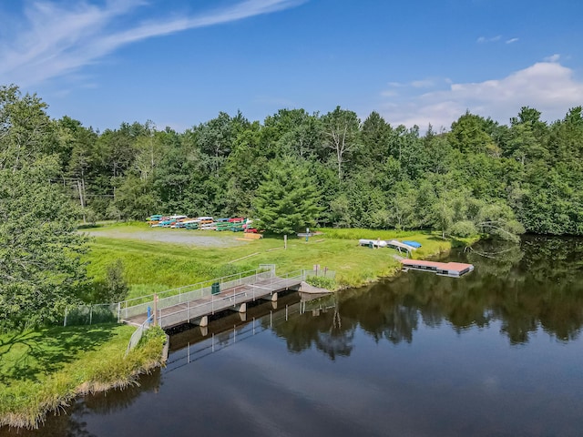 102 King Arthur Rd, Pocono Lake, PA 18347 - photo 67