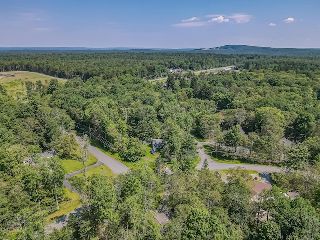 102 King Arthur Rd, Pocono Lake, PA 18347 - photo 60