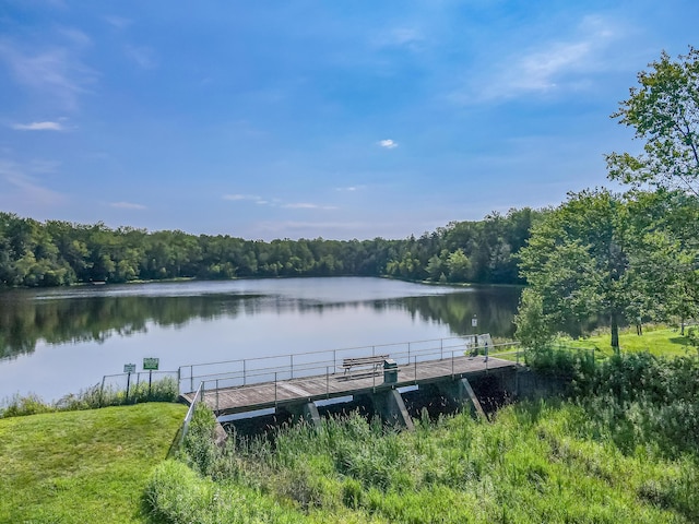 102 King Arthur Rd, Pocono Lake, PA 18347 - photo 71