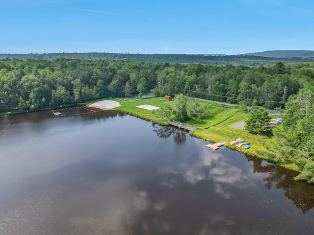 102 King Arthur Rd, Pocono Lake, PA 18347 - photo 77