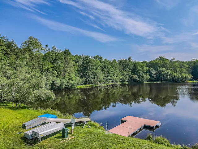 102 King Arthur Rd, Pocono Lake, PA 18347 - photo 68