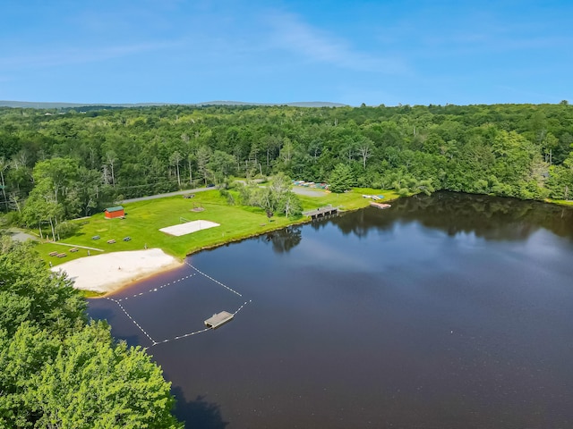 102 King Arthur Rd, Pocono Lake, PA 18347 - photo 78
