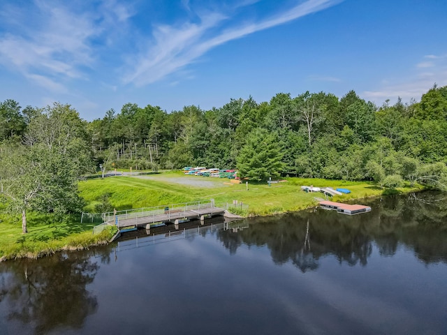102 King Arthur Rd, Pocono Lake, PA 18347 - photo 82